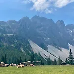 Il Nido